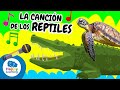 Conociendo a los Reptiles