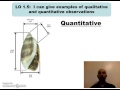 Qualitative and Quantitative Observations Quiz