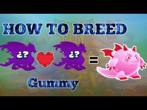 How To Breed Gummy Dragon || Dragon City