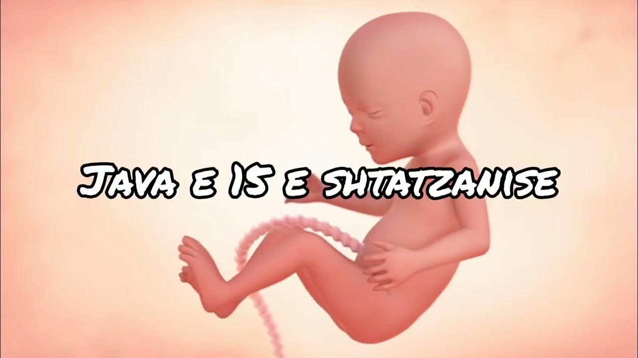 Java e 15 e Shtatzanise. Cfare pritet te ndodhe gjate kesaj jave? YouTube