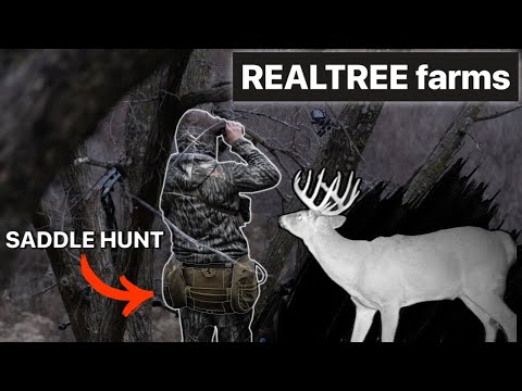BOWHUNTING REALTREE FARMS (HANG and HUNT)
