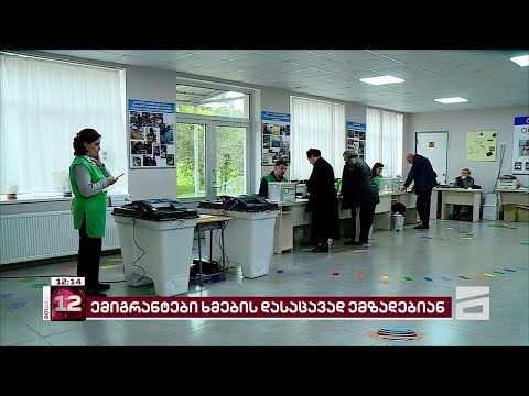 მზადება ხმების დასაცავად | ორგანიზაციამ \"თაობები ქვეყნისთვის\" ქართველ ემიგრანტებთან შეხვედრა გამართა