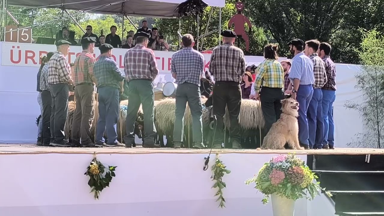 15/28 Artzainen kantorea Ürrats Kolektiboak pastorala 2025 Barkoxe