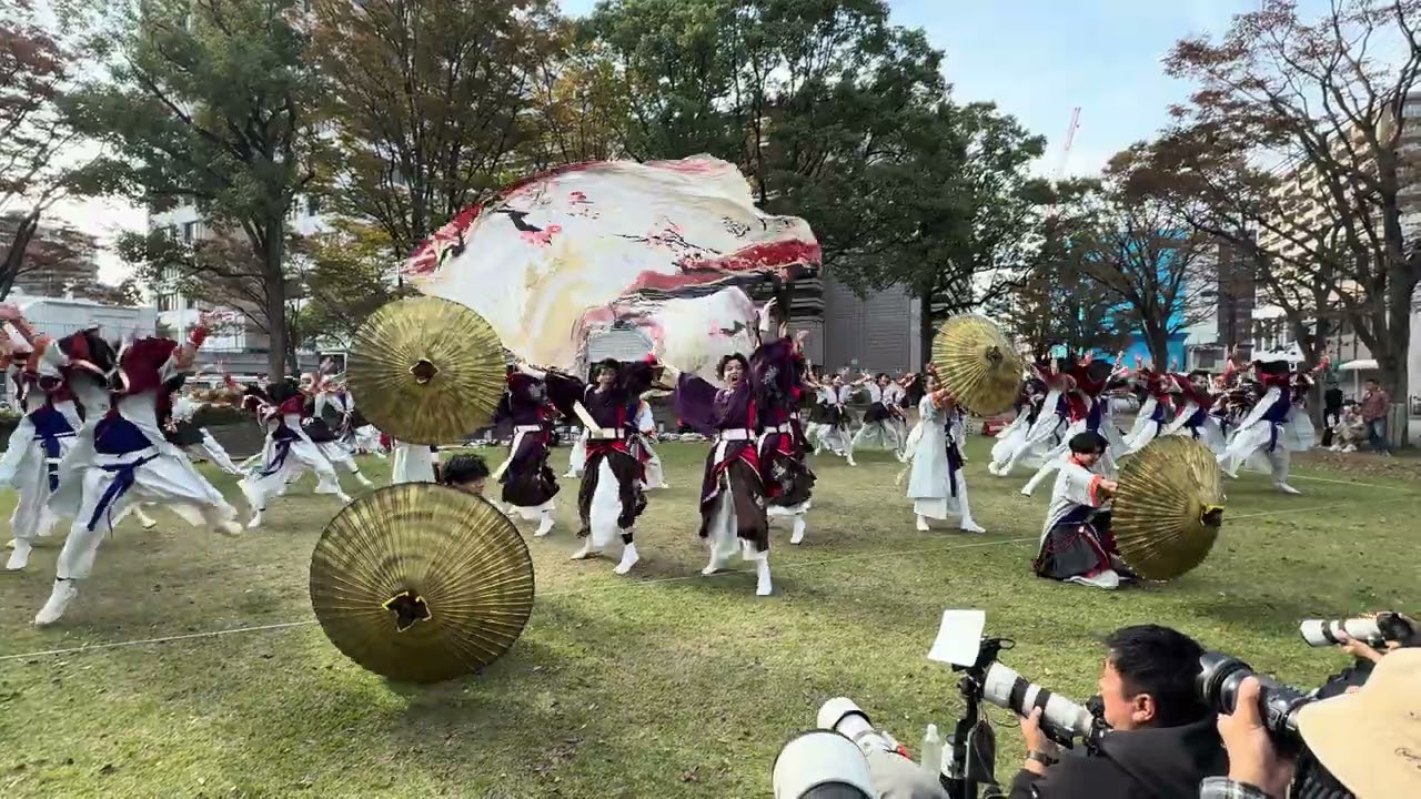 彩ノ京-ハナノミヤコ- 20241117 四日市よさこい