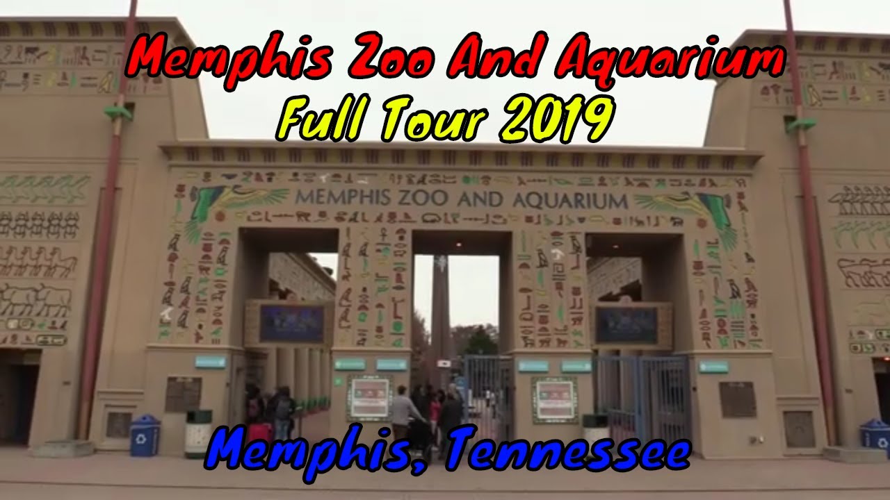 Memphis Zoo Full Tour Memphis Tennessee YouTube