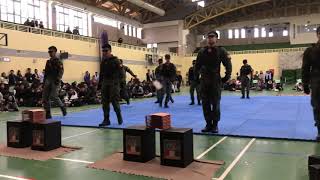 虎嘯戰技隊-聖約翰大學1081120