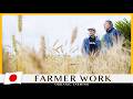 Wheat That Stirs the Heart and Awakens Memory | Reviving Wheat in Okinawa, Japan | Japanese Breads