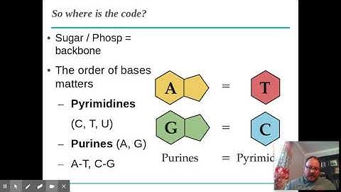 Chapter 5, Macromolecules: Video 3, Nucleic Acids