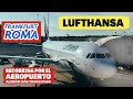 DESDE EL INMENSO  AEROPUERTO DE FRANKFURT 🇩🇪 A ROMA 🇮🇹 CON LUFTHANSA