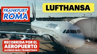 DESDE EL INMENSO AEROPUERTO DE FRANKFURT 🇩🇪 A ROMA 🇮🇹 CON LUFTHANSA