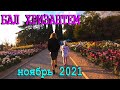 ВОСХИТИТЕЛЬНЫЙ БАЛ ХРИЗАНТЕМ в Крыму - Туристы в ВОСТОРГЕ! Отзывы гостей Никитского сада
