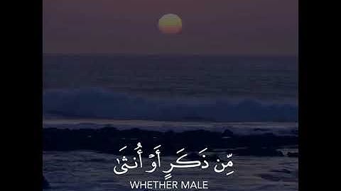 القران الكريم 296