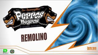 Video thumbnail of "REMOLINO  - LOS PERROS NEGROS -AUDIO OFICIAL EXCLUSIVO"