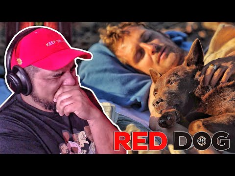 😭*THE SADDEST REAL LIFE DOG STORY*😭 Red Dog (2011) *FIRST TIME WATCHING MOVIE REACTION*