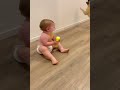 Funny dog and cute baby playing viral funny funny.