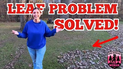 Leaf Cleanup Hack That Saves Hours