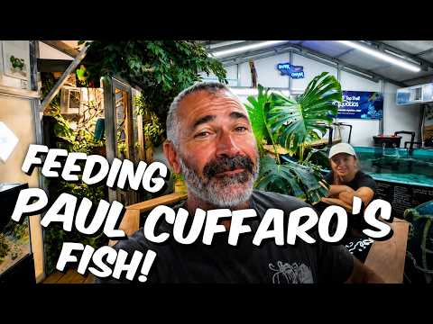 Feeding the PC Farm!