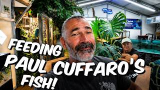 Feeding the PC Farm!