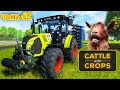 Cattle and Crops НАСТОЯЩИЙ симулятор фермера #2 (REAL farmer simulator #2)