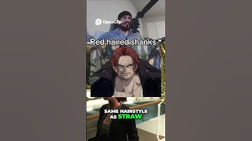 One Piece Confirmed In AC Black Flag