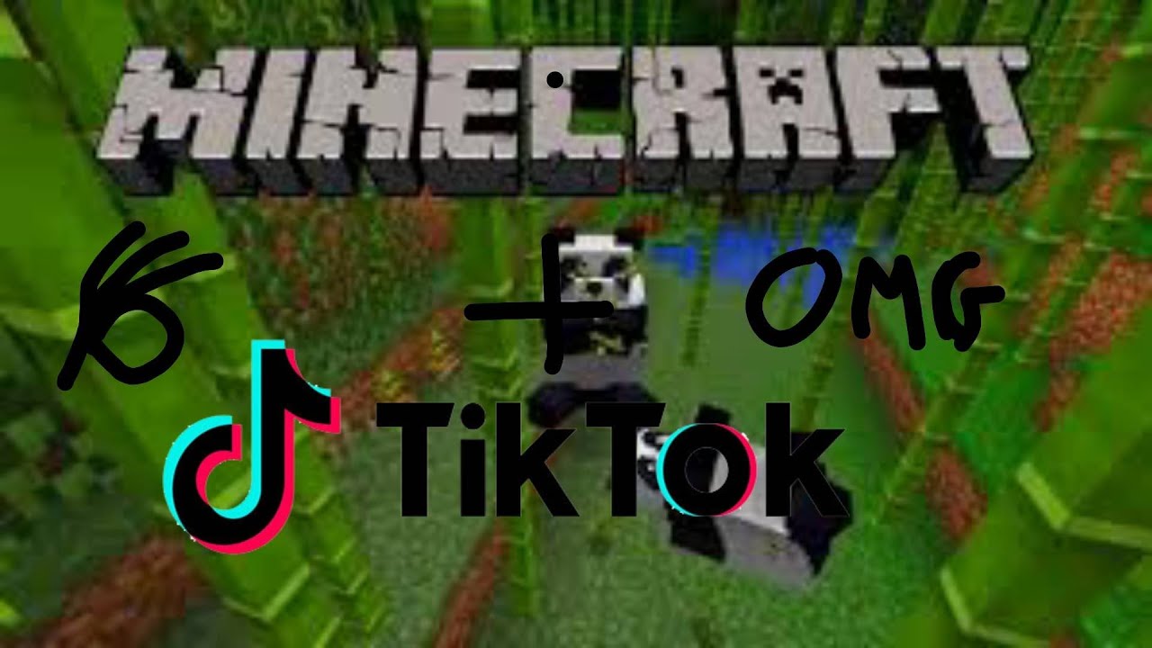 Minecraft + TIC TOC = meme - YouTube