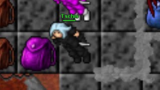 Tschis (Hiberna, Tibia 7.4)