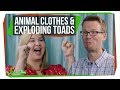 Animal Clothes & Exploding Toads | SciShow Quiz Show