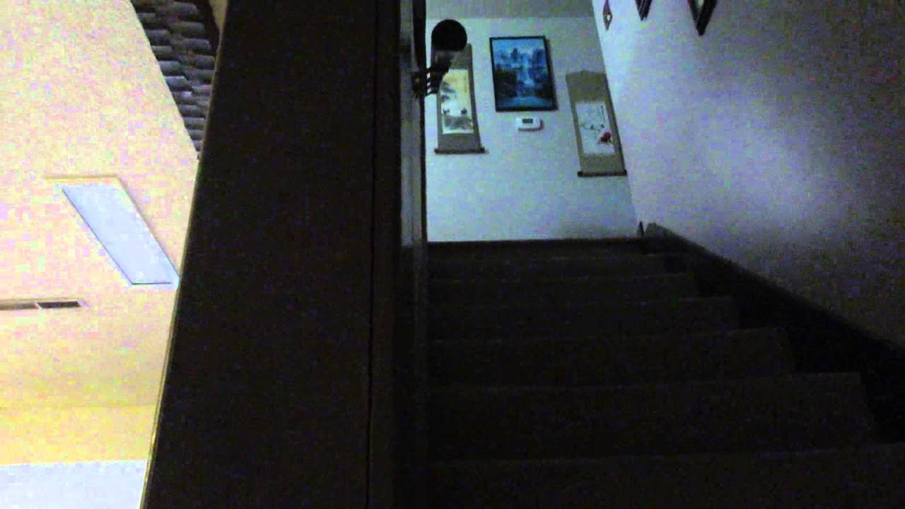 City inspector came to my house