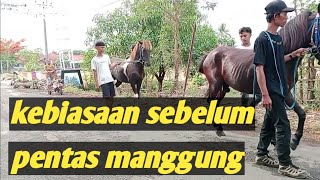 kuda renggong Diva Tanjung || persiapan mau manggung || Panadahan kudangwangi ujungjaya smd