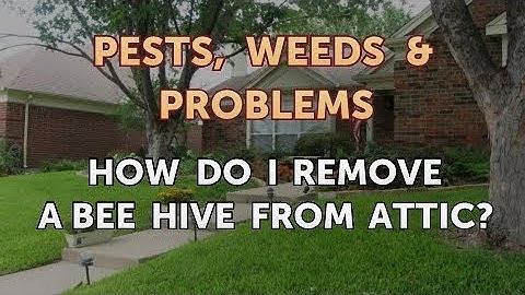 How Do I Remove a Bee Hive From Attic?