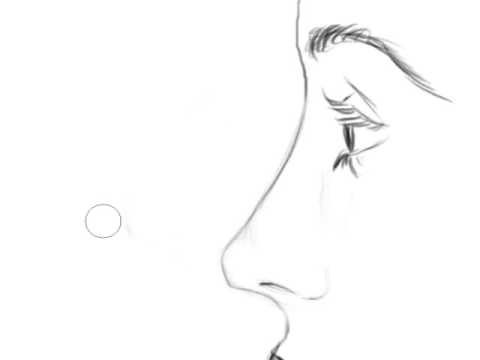 female nose drawing side view