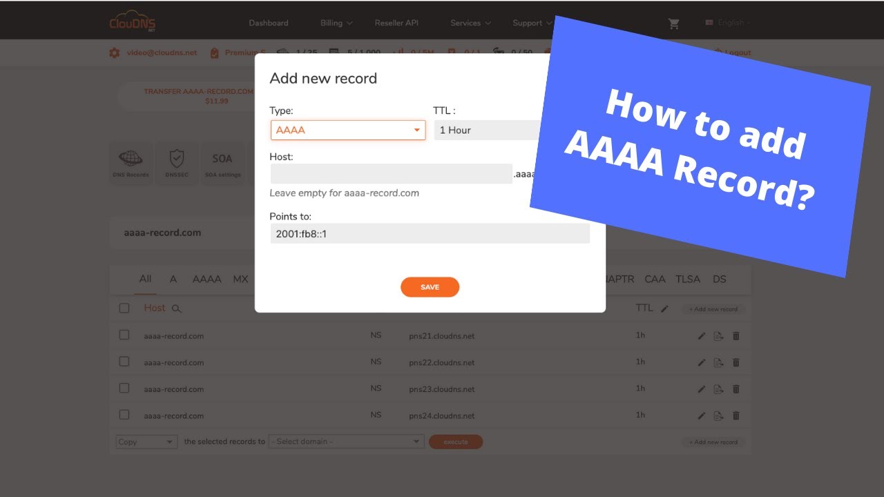 ClouDNS: What is an AAAA Record?