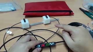 Autonics 1 Point And 2 Point Teaching Fiber Optic