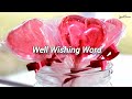 [Sub. Espa&ntilde;ol] Inori Minase (水瀬いのり) - Well Wishing Word