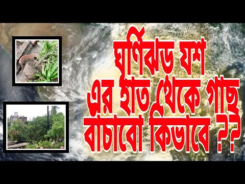 ভিডিও: বাগানে সঞ্চয়