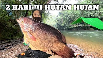 Camping Hujan deras 2 Hari Badai Petir di Hutan Pertualangan Fishing camp Masak Makan Ikan Sungai