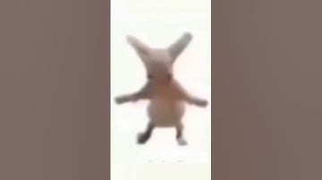 Thumbnail of shimmy shimmy yay shimmy yay shimmy ya