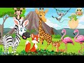 Happy Animal Moments: Zebra, Giraffe, Lemur, Monkey, Reindeer, Red Fox, Stork - Baby Animal Moments