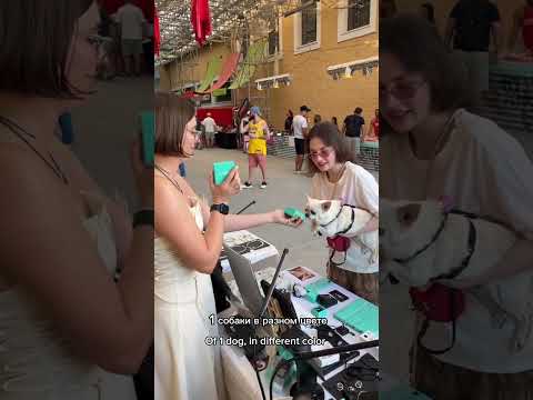 Одна неделя из