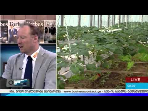 სოციალური საწარმოების მოთხოვნა   გიორგი არსენიძე და მათიას ვოლფეილი „საქმიან დილაში“