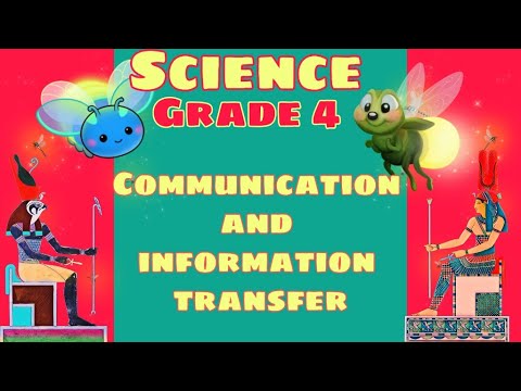 Video: Communication As Information Transfer