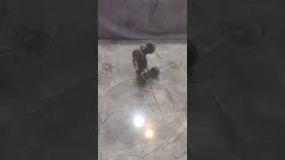 ONG #experiment #ihavethisthingwithplants #science #butifyoucloseyoureyes #chemistry #ast #s