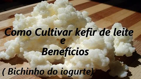 Como cuidar do iogurte kefir?