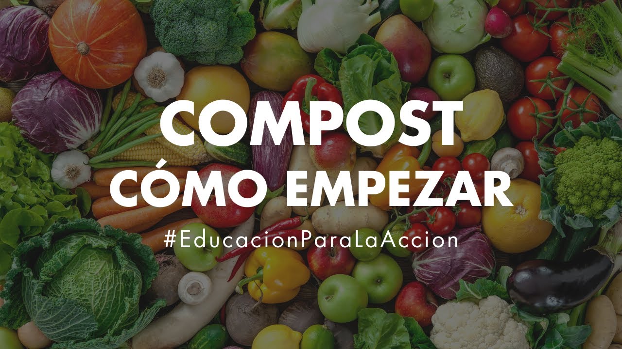 Cómo hacer compost y qué saber para empezar - Compost - Educación Ambiental Digital | Eco House