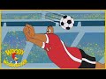 Woody Woodpecker | The Soccer Game | Full Episodes