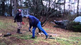 Time Lapse Tree Trimming