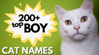 200+ Top Most Popular MALE Cat Names predicted to BLOW UP this year! | Boy Cat Names