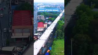 Download Lagu ang daming ibon..#galangbubuyog #dronepilot #djimini2 #aerialphotography #nscrupdate #marilaobulacan MP3 Download Lagu ang daming ibon..#galangbubuyog #dronepilot #djimini2 #aerialphotography #nscrupdate #marilaobulacan MP3