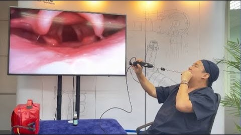 How to use the Video Stylet