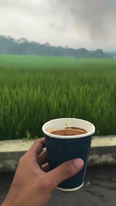 minum kopi panas di pinggir sawah